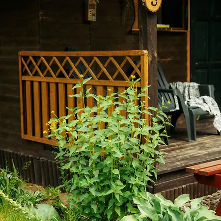 Latowisko ביאלי בור