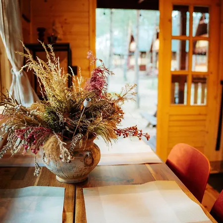 אתר קמפינג Latowisko ביאלי בור