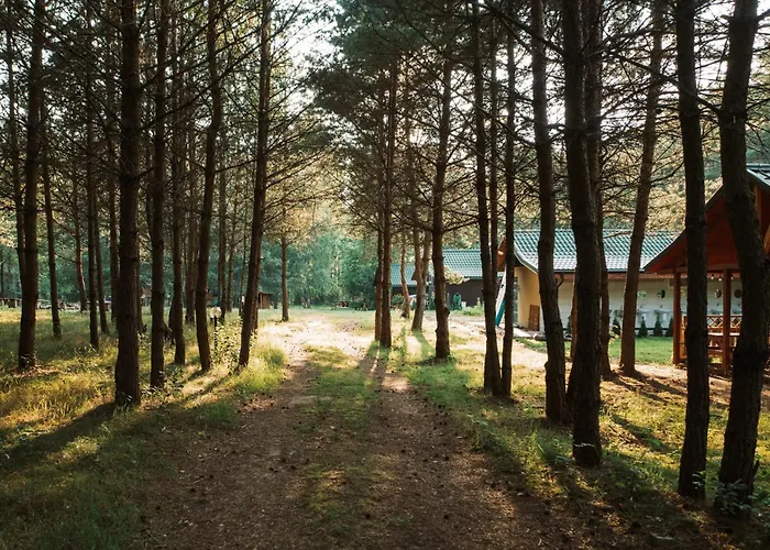 キャンプ場 Latowisko ビャウィ・ブル