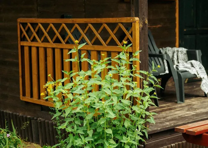 Latowisko 비아위 부르