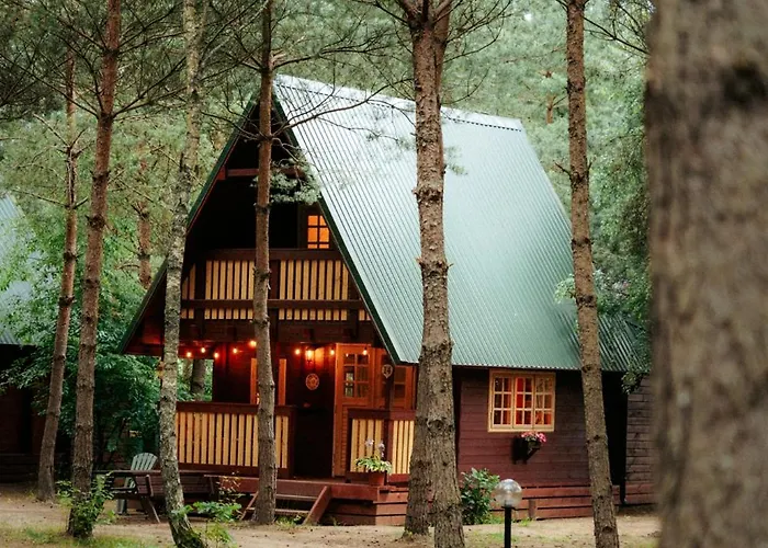 캠프장 Latowisko 비아위 부르