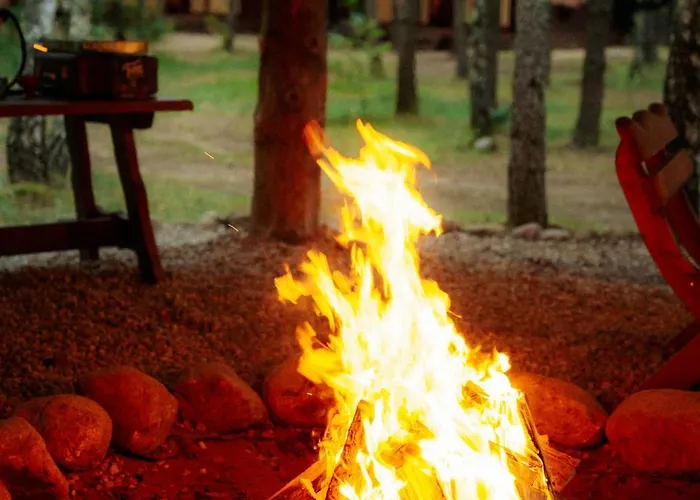 Latowisko 비아위 부르