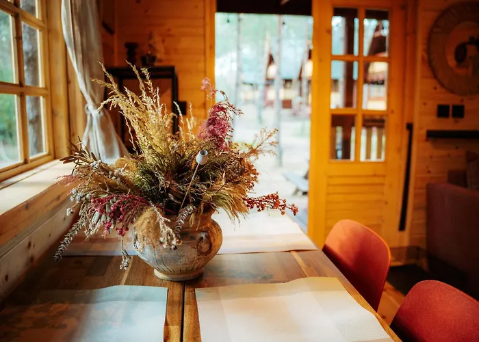 キャンプ場 Latowisko ビャウィ・ブル