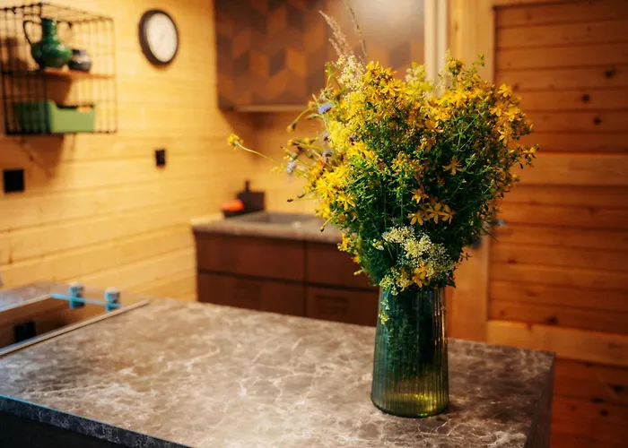 Latowisko キャンプ場 *